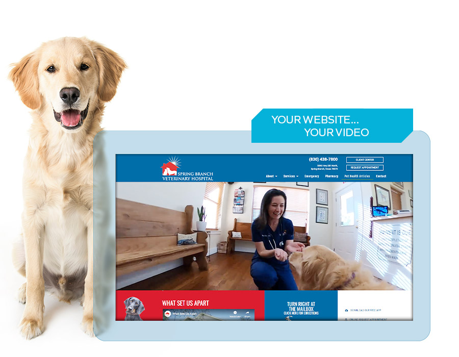 Veterinary Video Marketing Solutions Cheshire Partners LLC.